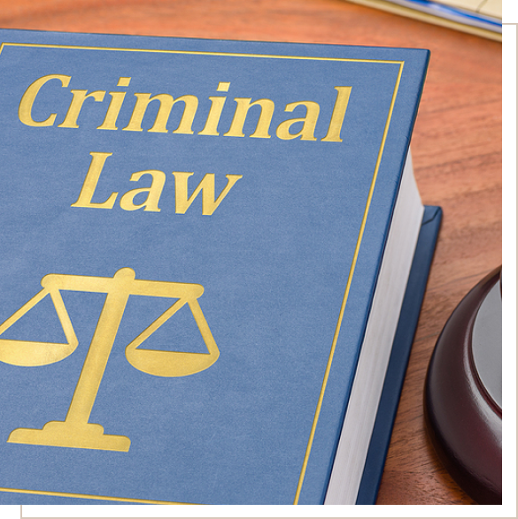 Criminal Law Book